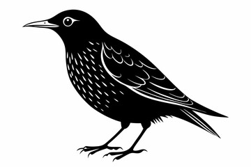 starling  bird line art silhouette vector illustration
