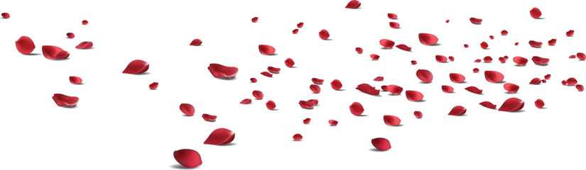 Red rose petals will fall on abstract floral background with gorgeous rose petal greeting card design