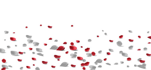 Red rose and White Rose petals will fall on abstract floral background with gorgeous rose petal greeting card design