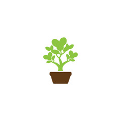  jade plant icon vector image on white background