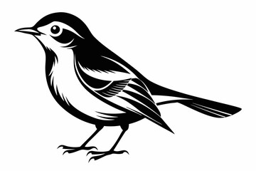 warbler bird line art silhouette vector illustration