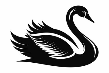whooper swan line art silhouette vector illustration