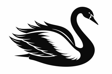 whooper swan line art silhouette vector illustration