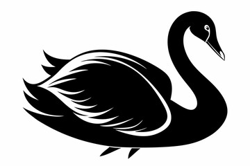 whooper swan line art silhouette vector illustration
