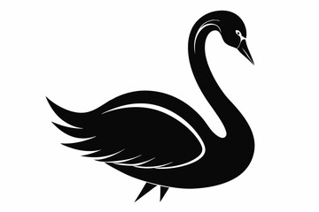 whooper swan line art silhouette vector illustration