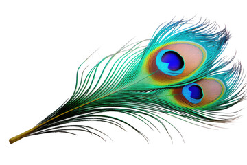 Obraz premium peacock feather on transparent background