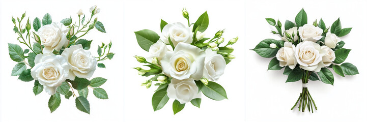 Set of White flowers bouquet roses, white rose flower, Rose flower isolated on a transparent background