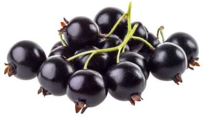 Close-up of fresh black currants showing rich color and texture on transparent background