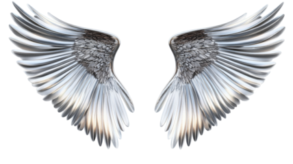 Majestic silver metallic angel wings spread open on transparent background