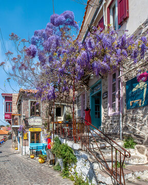 Molyvos on Lesvos is the most beautiful alleyway in the world. Bored pander featured a list of beautiful walkways and picturesque streets from around the world.