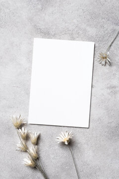 Blank wedding invitation card mockup with trendy botanical decor on grey background, copy space