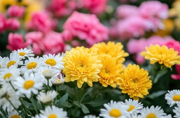 Beautiful Floral Arrangement with Bright Yellow Chrysanthemums and White Daisies Surrounded by Colorful Pink Roses in a Lush Garden Setting