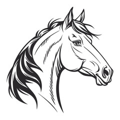 black horse vector illustration