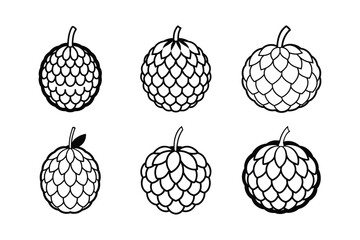 Custard Apple – Annona reticulata line art vector illustration