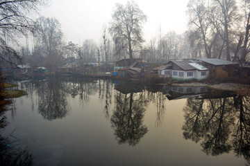 Obraz premium Misty Dal Lake scene with reflections of bare trees and houses. Ethereal landscape, tranquil water, atmospheric haze, capturing the quiet beauty and stillness of a foggy morning on the lake in Kashmir