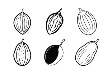 Date – Phoenix dactylifera line art and silhouette vector illustration