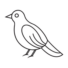 Minimalist Bird Line Art Drawing