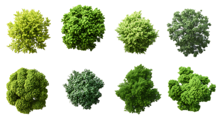 Cutout top view tree set landscaping on transparent background, high resolution PNG file