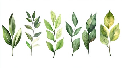 Obraz premium Exploring green leaves nature watercolor collection artistic environment close-up view gigapixel detail