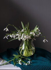A stunning and beautiful arrangement of delicate snowdrop flowers in an elegant vase, enhanced by vibrant textiles