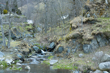 The Ter River passes through the picturesque town of Setcases, in the province of Girona