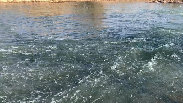 A fast flowing river with beautiful views of wildlife. The river in early spring in sunny weather.