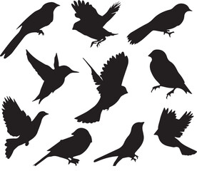 Bird vector, bird, animal, sparrow, feather, flying, animals, wildlife, wild, wing, duck vector set