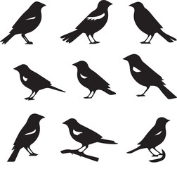 Bird vector, bird, animal, sparrow, feather, flying, animals, wildlife, wild, wing, duck vector set