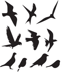 Bird vector, bird, animal, sparrow, feather, flying, animals, wildlife, wild, wing, duck vector set