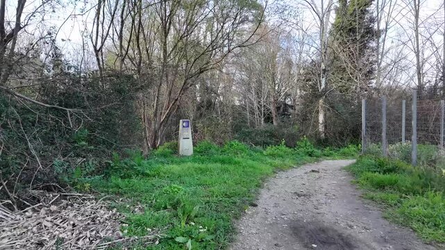 Stone Camino de Santiago milestone with a yellow scallop shell and arrow in a lush green forest, indicating the direction for pilgrims on the famous Way of St. James in Galicia, Spain.  
