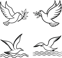 Fototapeta premium vector illustration of a dove