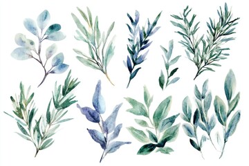 Fototapeta premium Mediterranean Herb Collection - Watercolor Floral Artwork