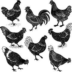Vintage Chicken and Rooster Silhouette Set, Farm Poultry Line Art Vector illustration, Rural Bird Line Art Vector © ElvenGarden
