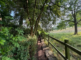 Obraz premium A narrow dirt path winds through a lush, green forest, flanked by a rustic wooden fence on one side and dense foliage on the other. Sunlight filters through the leaves in, Woodbottom, Mirfield, UK