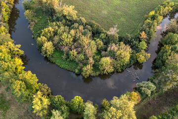 Autumn trees drone aerial view river Dyje meander water reflection sunset landscape Lednice Czech Republic bird's eye view abstract background