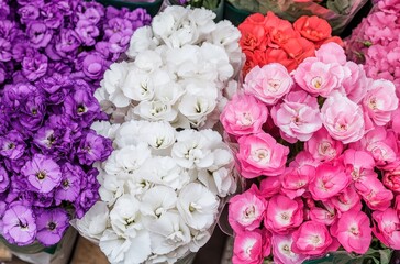 Colorful Variety of Freshly Cut Flowers in Floral Shop Arrangement Featuring Shades of Purple, White, Pink, and Red for Decorative Use