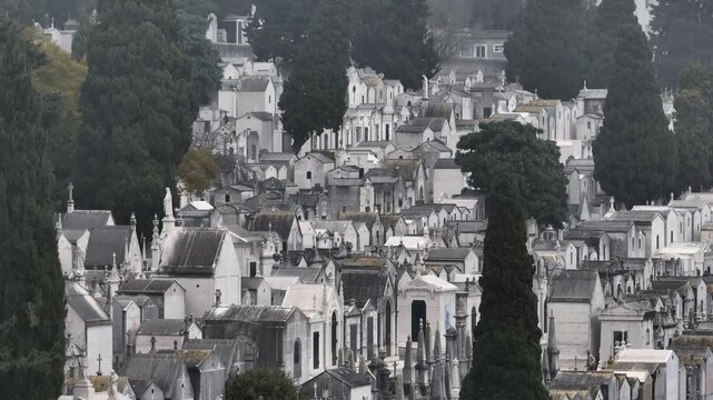 Portuguese cemetery Prazeres in Lisbon, Portugal in Foggy cloudy misty Weather, Aerial Drone shot