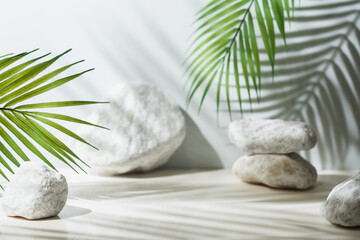White background of wall with palm shadows and white stone podium. Free space for your decoration. product presentation, mock up, show cosmetic product display, Podium, stage pedestal or platform.