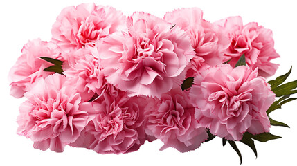 Pink Carnations Delicate Floral Bouquet, Romantic Spring Blossom for Nature-Inspired Displays.