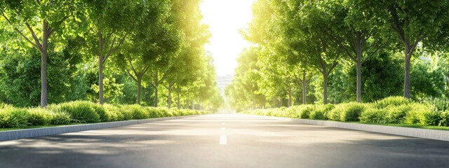 Serene Road Surrounded by Lush Green Trees and Bright Sunshine
