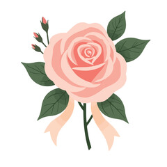 Elegant pastel rose corsage on white background, floral design