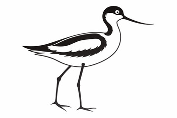 avocet line art silhouette vector illustration