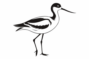 avocet line art silhouette vector illustration