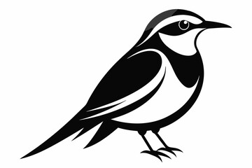 bee eater line art silhouette vector illustration