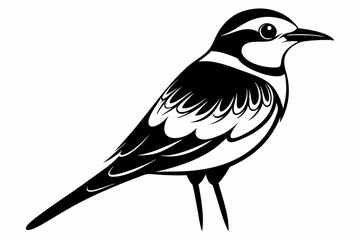 bee eater line art silhouette vector illustration