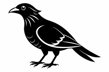 bowerbird line art silhouette vector illustration