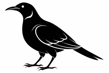 bowerbird line art silhouette vector illustration