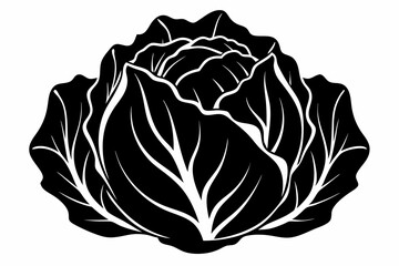 cabbage line art silhouette vector illustration