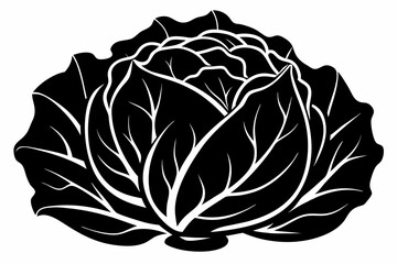 cabbage line art silhouette vector illustration