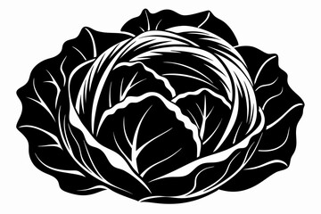cabbage line art silhouette vector illustration